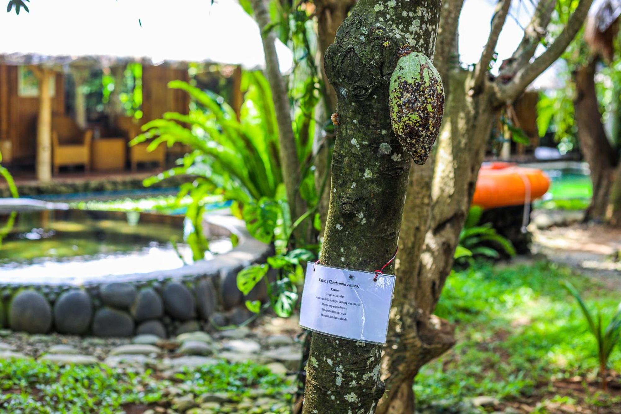 Omunity Bali Hotel Singaraja Екстериор снимка