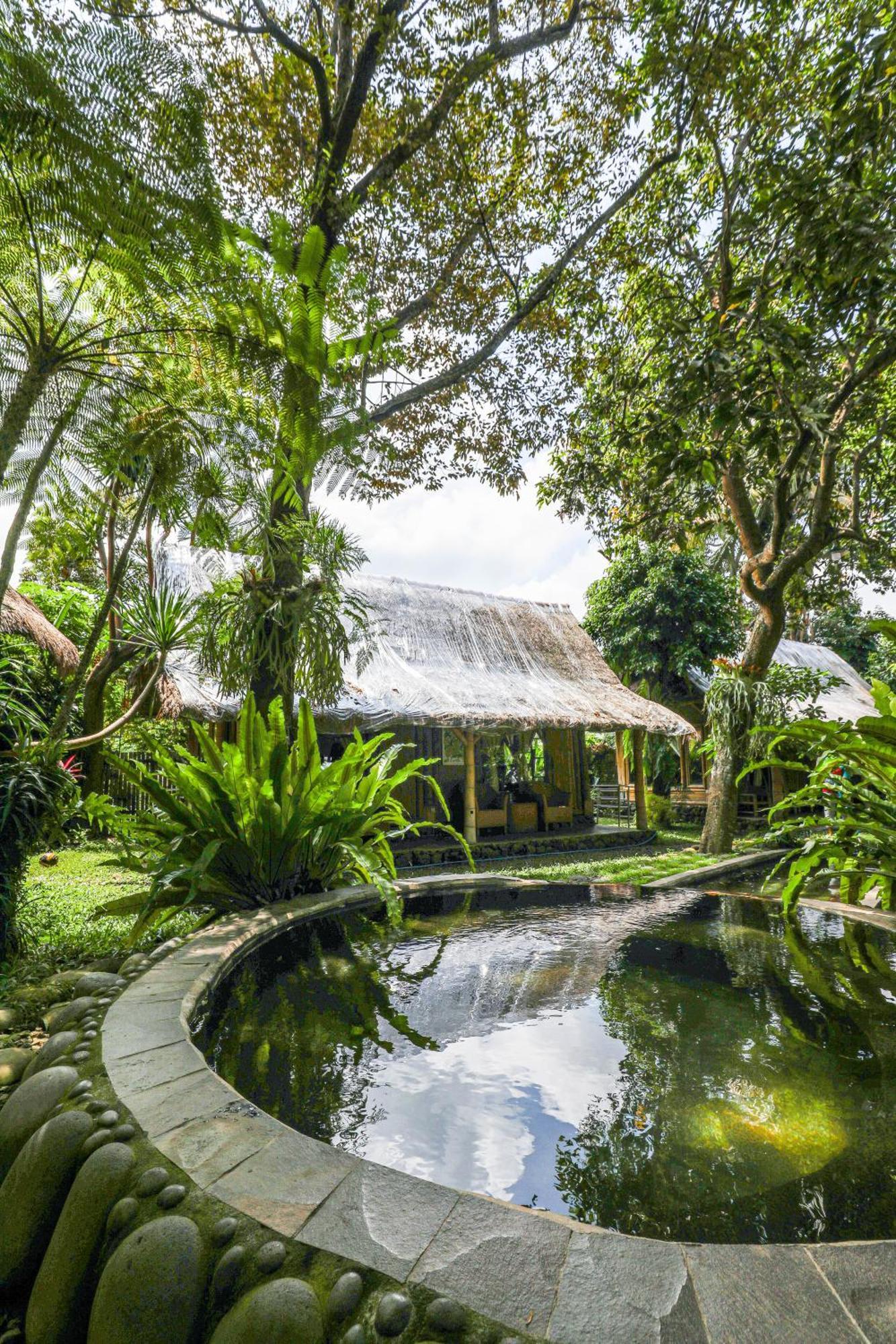 Omunity Bali Hotel Singaraja Екстериор снимка